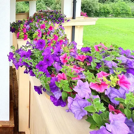 In Milders With Stubai Supercard *